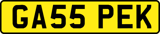 GA55PEK