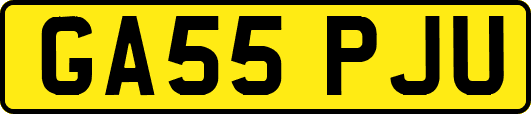 GA55PJU