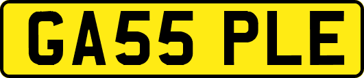 GA55PLE