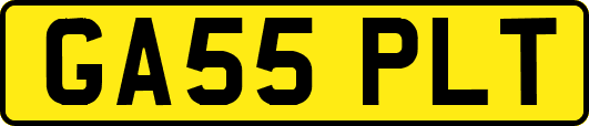 GA55PLT