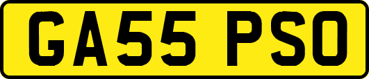 GA55PSO