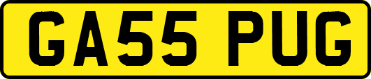 GA55PUG