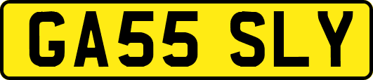 GA55SLY