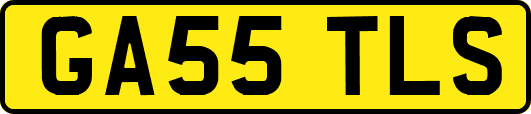 GA55TLS