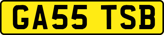 GA55TSB