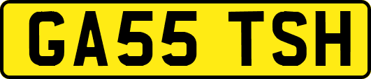 GA55TSH