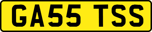 GA55TSS