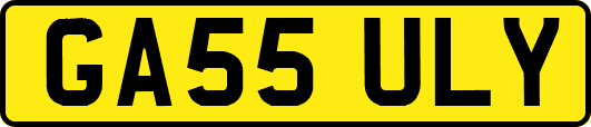 GA55ULY