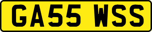 GA55WSS