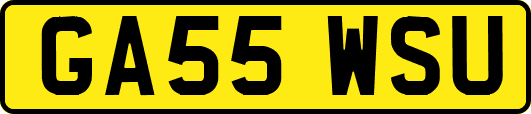 GA55WSU