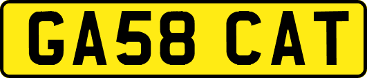 GA58CAT