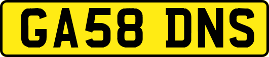GA58DNS