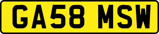 GA58MSW