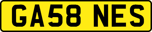 GA58NES