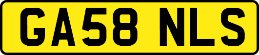 GA58NLS