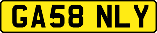 GA58NLY