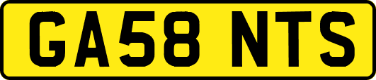 GA58NTS