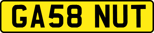 GA58NUT