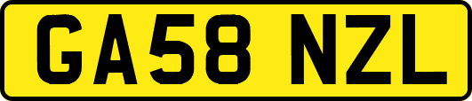 GA58NZL
