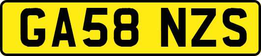 GA58NZS