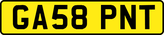 GA58PNT