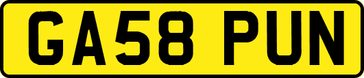 GA58PUN