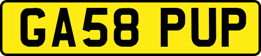 GA58PUP