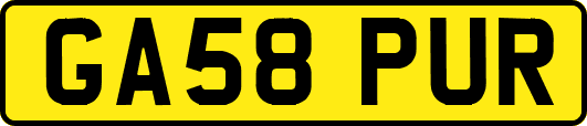 GA58PUR