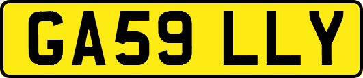 GA59LLY