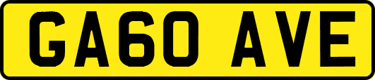 GA60AVE