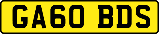 GA60BDS