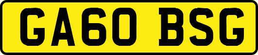GA60BSG