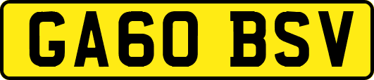 GA60BSV