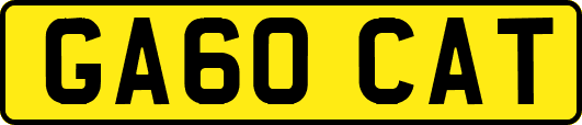 GA60CAT