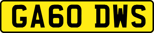 GA60DWS