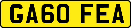 GA60FEA