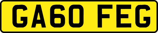 GA60FEG