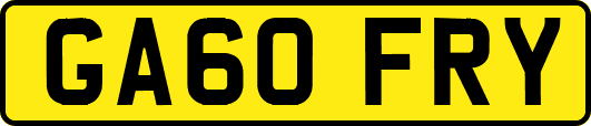 GA60FRY