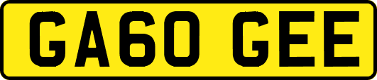 GA60GEE