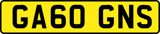 GA60GNS