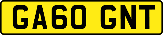 GA60GNT