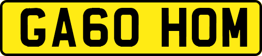 GA60HOM