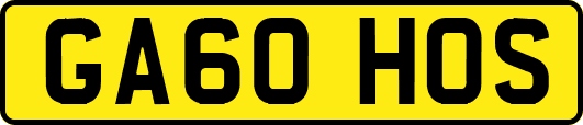 GA60HOS