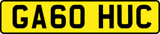 GA60HUC