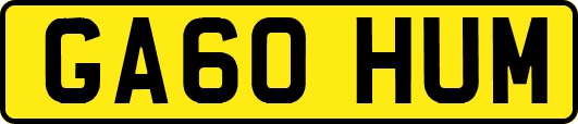 GA60HUM