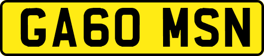 GA60MSN