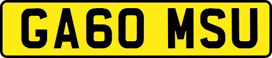 GA60MSU
