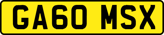 GA60MSX