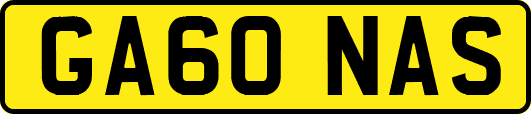 GA60NAS