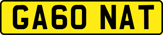 GA60NAT